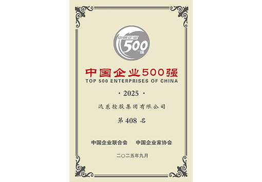 中國(guó)企業(yè)500強(qiáng)